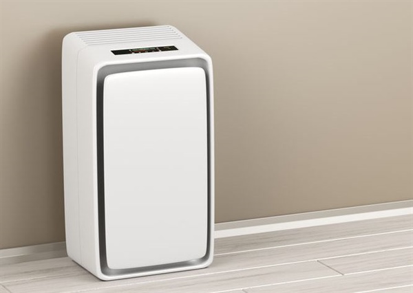 4 Signs You’re In Need of an Air Purifier